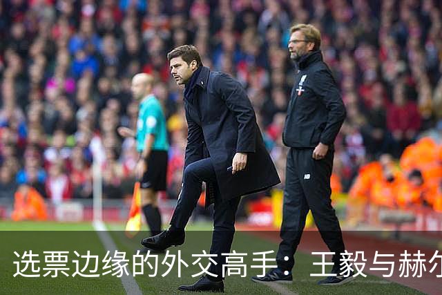 选票边缘的外交高手：王毅与赫尔佐格的棋局博弈